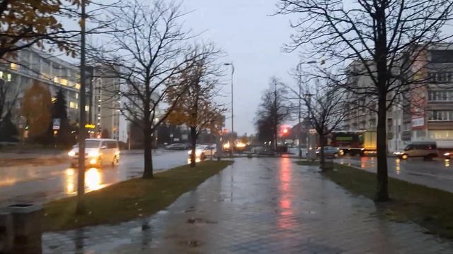 Бульвар Космонавтов? Пушкинская?Карбышева.?14.11.23. смотреть онлайн