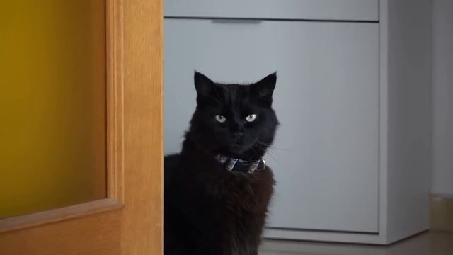 "Если бы невестка помогала, я бы работала" – выговаривала свекровь моему мужу смотреть онлайн