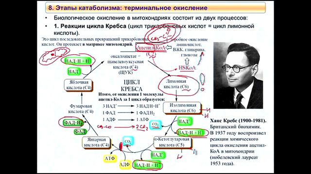 3_FFC_Lect3_ZAO_Динамика