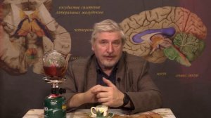 С. Савельев. Нет ничего слаще , чем управление дураками