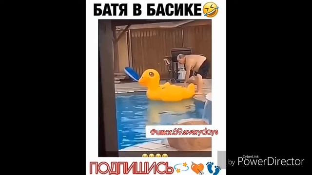 Лучшие видео приколы года смех до слёз смотреть всем смотреть онлайн
