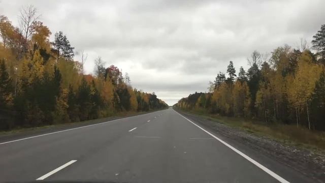 Дорога в Покачи смотреть онлайн