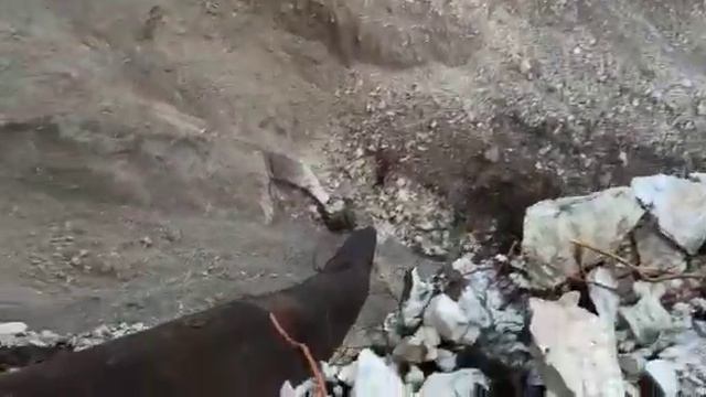 Россия.Дагестан.гумбетовский район село Цанатли. Дорога провалилась. смотреть онлайн