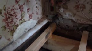 Осб на пол толщина на лаги по грунту или как сделать пол своими руками на лаги, в частном доме..