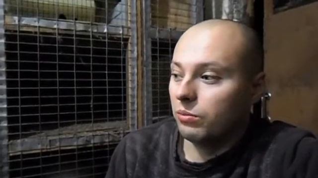Что такое Мастит у кролика и как с этим бороться? смотреть онлайн