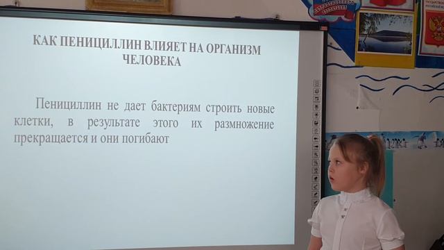 Дружинина София Выращивание пенициллина и его тестирование в домашних условиях смотреть онлайн