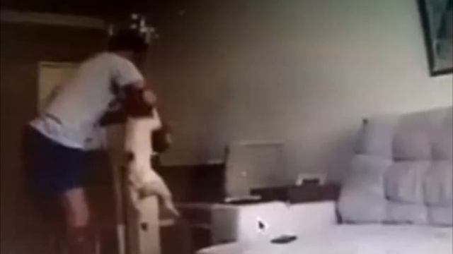 Девушка отменила свадьбу, после того как она увидела, что её жених делает с её собаками! смотреть онлайн