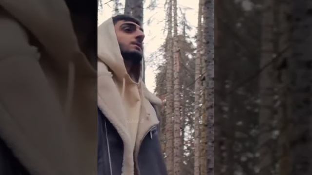 Xcho смотреть онлайн