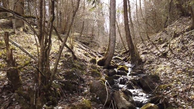 ? Сплав по реке Систа / Обзор маршрута / Разрушенная Плотина и Рыбные места / КОПОРЬЕ смотреть онлайн