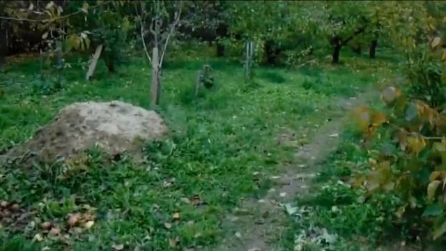 Железов Валерий Груша Космическая смотреть онлайн