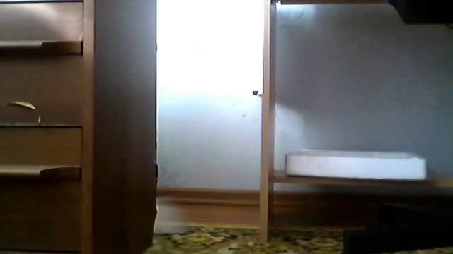 Похищения кошки скрытикая камера смотреть онлайн