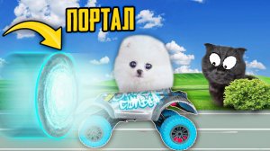 Собачка Шанелька попала в РЕАЛЬНУЮ СКАЗКУ ! *Параллельный мир СУЩЕСТВУЕТ* !!! СПАСЕНИЕ ЖИВОТНЫХ!