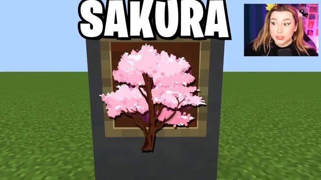 Эти Вещи НЕВОЗМОЖНО РАЗВИДЕТЬ в Майнкрафт!? смотреть онлайн