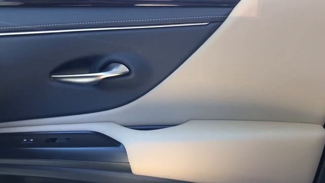 2019 Lexus ES Chicago, Glenview, Palatine, DesPlaines, and Evanston, IL L22628A