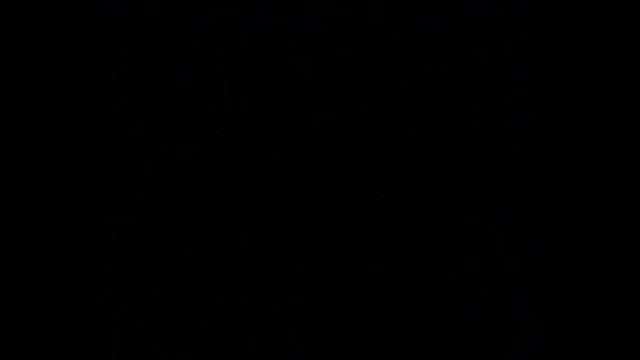 Сибирский шелкопряд. Появление бабочки из куколки