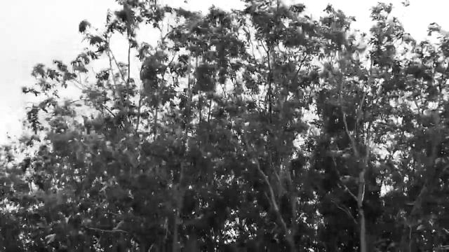 Ｔｙ　Ｔａｋ　Ｋｒａｓｉｖａ sʟᴏᴡᴇᴅ смотреть онлайн