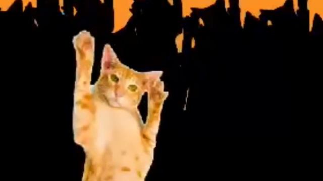 Go Kitty Go Speed Up 10 Hours смотреть онлайн