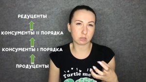 Биология. Круговорот веществ, пищевые связи и поток энергии.  Продуценты➡️консументы➡️редуценты