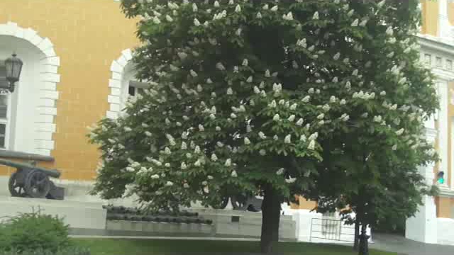 Москва. Часть 1