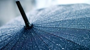 мокрый район