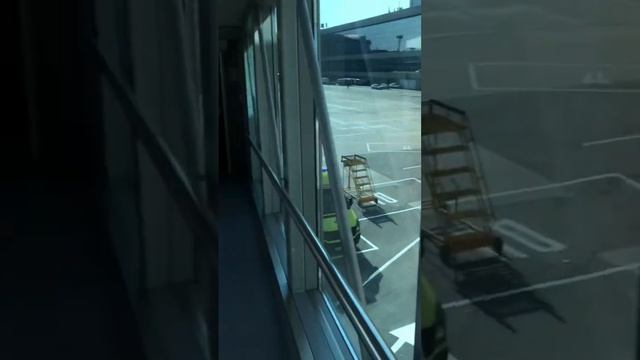 Домодедово аэропорт Moscow смотреть онлайн
