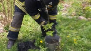 Пожарные откачивают животных / СПАСЕНИЕ ЖИВОТНЫХ / Важна каждая жизнь / ТОП 10