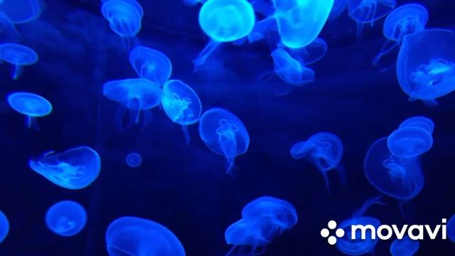 Расшифровка матрицы! Квадрат 3 - Интерес смотреть онлайн