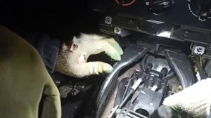 ремонт кулисы, Пежо 307