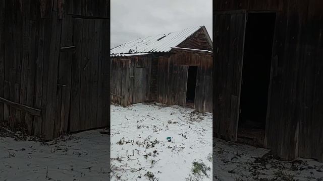 как было,для лесной братвы? смотреть онлайн