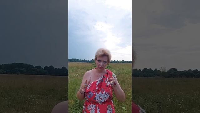 Расстояние сарая для животных от соседей. смотреть онлайн