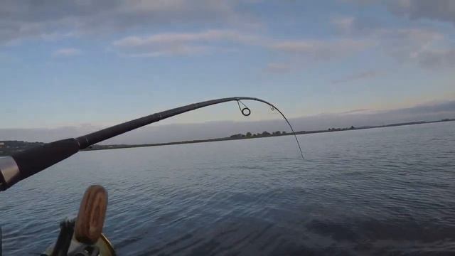 Ловля трофейной глубинной щуки!