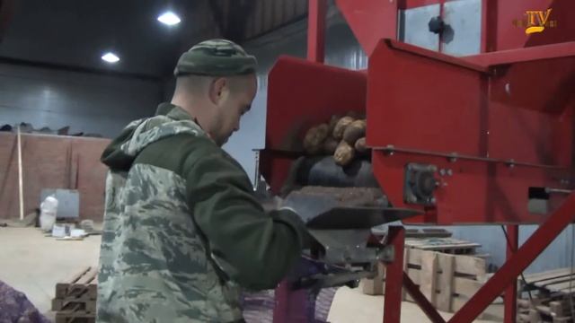 День сельского хозяйства в селе Частые Пермского края смотреть онлайн