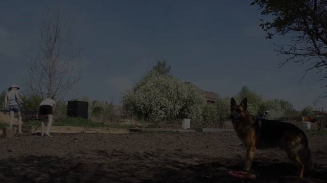 Сажаем землянику. Готовим поле под картошку.Работа в огороде. /Переезд в деревню. смотреть онлайн
