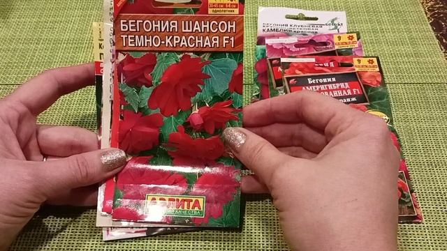 ЧТО БУДУ СЕЯТЬ В НОЯБРЕ. МОЙ ВЫБОР ЦВЕТОВ. смотреть онлайн