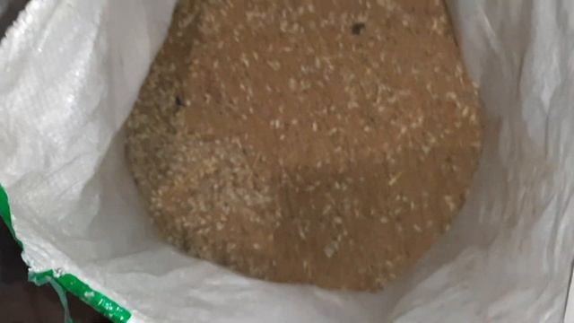 Зерна немає// Ці свині скоро і мене з'їдять// смотреть онлайн