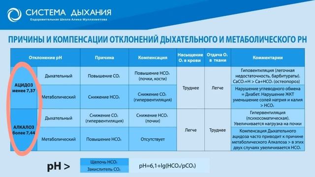 рН крови не зависит от еды ? Что нас закисляет и что ощелачивает. смотреть онлайн