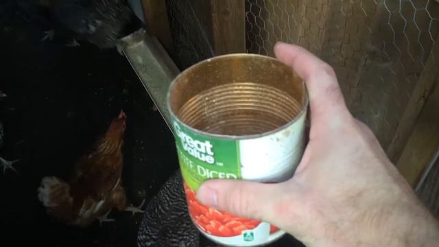 Tale of a Greedy Chicken смотреть онлайн