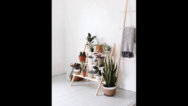 100 modern ideas for using indoor plants in decor 2023 смотреть онлайн