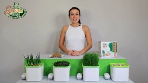 АэроСАД Здоровья КЛАД проращиватель обзор