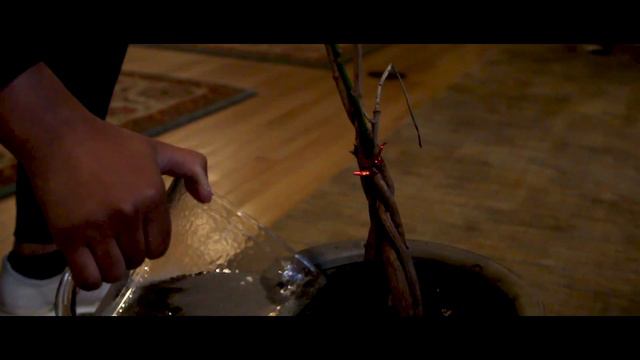 Loyola Rising 2018 смотреть онлайн