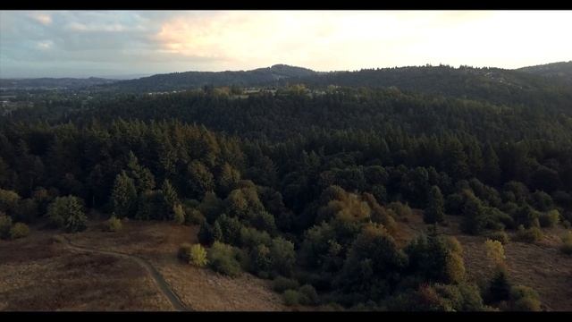 Relax Music - Сон и расслабление