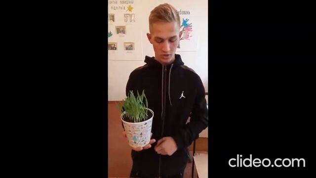 Барабан Анатолій Вплив дощових червів та равликів на якість грунту м Зеленодольськ смотреть онлайн