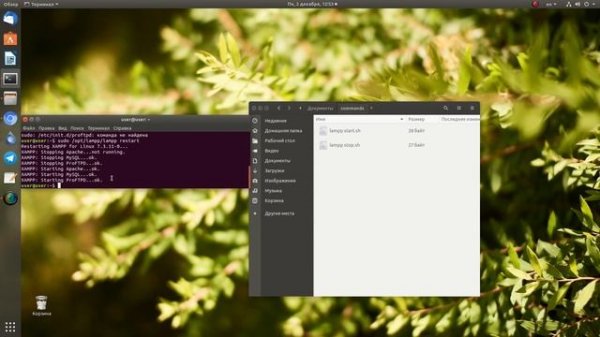 Связка Eclipse и XAMPP | запуск PHP на локальном сервере