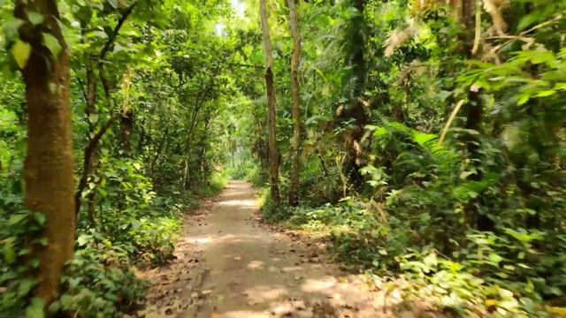 Mithapukur Eco-park, Rangpur, Bangladesh смотреть онлайн