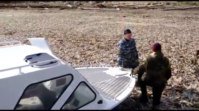 Весь берег в селёдке смотреть онлайн