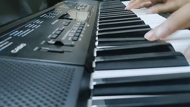 Beggin' - Måneskin | Short Piano Cover | смотреть онлайн