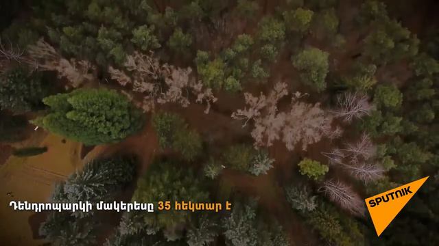 stepanavan dendropark/ artur khalatyan/sputnik armenia tv/2018/Степанаванский Дендропарк ''Сочут'' смотреть онлайн
