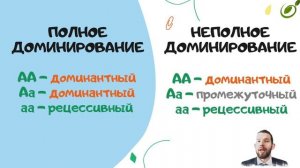 Л.10 | МНОЖЕСТВЕННОЕ ДЕЙСТВИЕ И ВЗАИМОДЕЙСТВИЕ ГЕНОВ | ГЕНЕТИКА | ОБЩАЯ БИОЛОГИЯ ЕГЭ