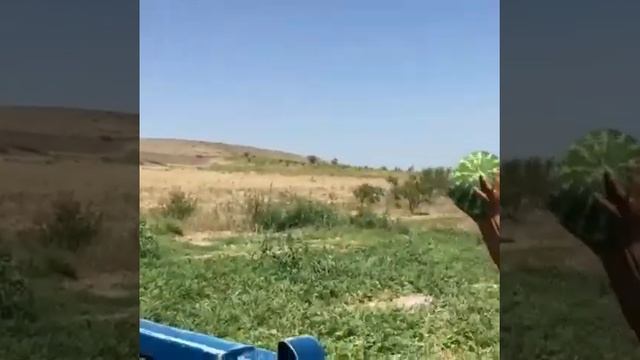 Тоо-моюн Ленин айылы 95тер смотреть онлайн