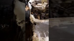 Тойота дюна промежуточный результат